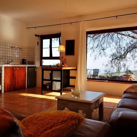 Apartamento Pirul อาริอา ภายนอก รูปภาพ